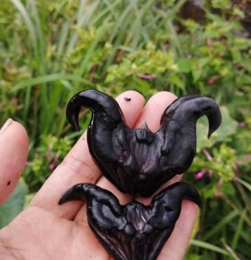 老菱角两角菱乌菱非洪湖菱角