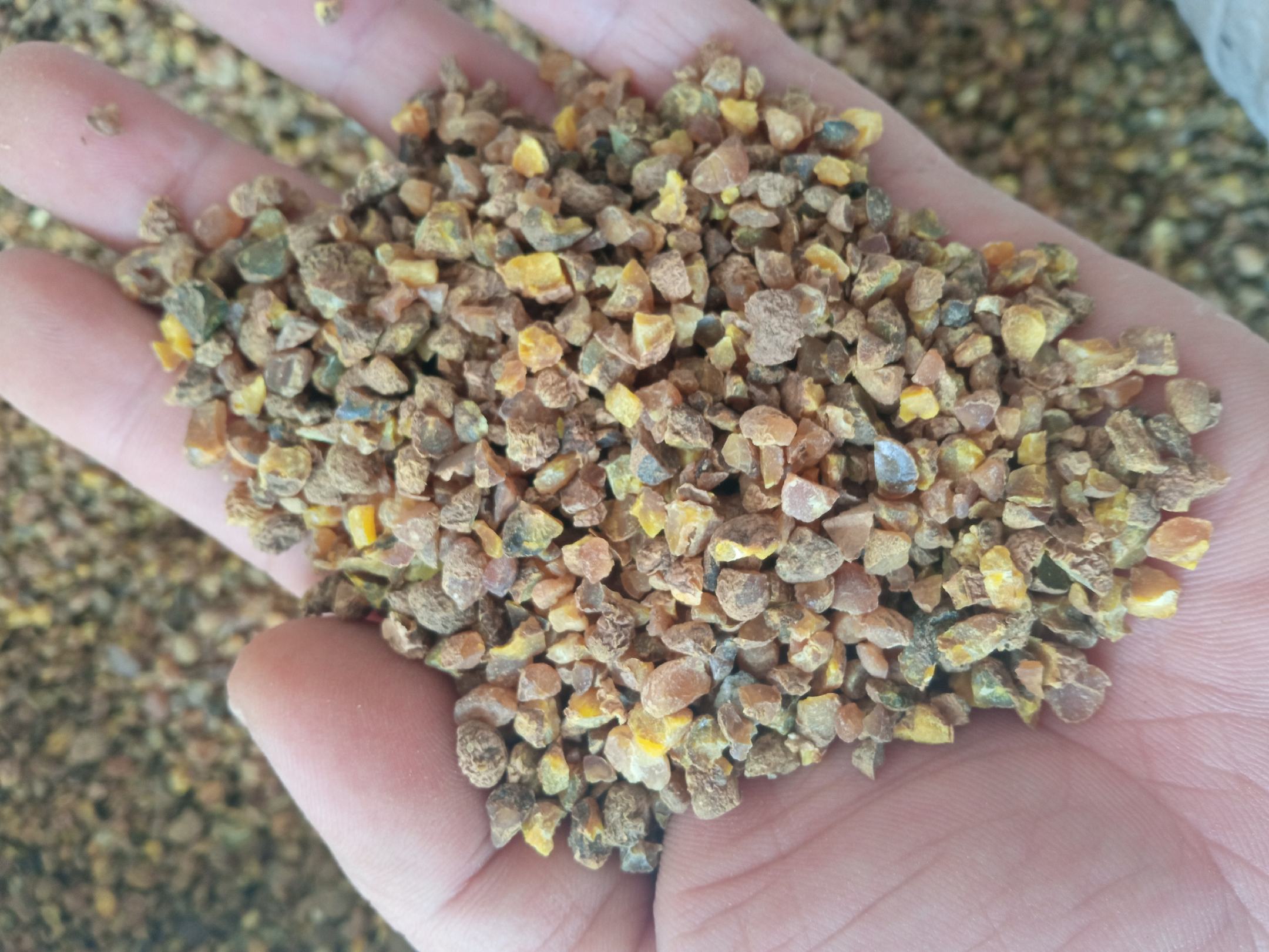 胡萝卜素血症皮肤表现图,展示过量摄入胡萝卜后的手掌泛黄症状,具医学教育意义 一张对比示意图,左侧为正常肤色面部特写,右侧为因过量摄入胡萝卜导致的手掌心泛黄现象,下方标注“胡萝卜素血症典型表现”,用于科普警示