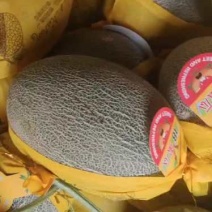哈密瓜水果瓜果类