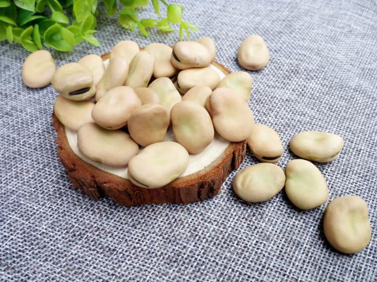 蚕豆营养成分表示意图