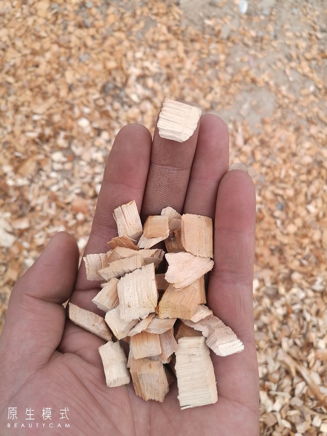 长期收售果木,供应香菇木屑,规格齐全,价格合理,诚信第一