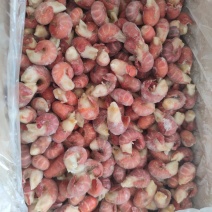 厂家直销，标准特级龙虾尾