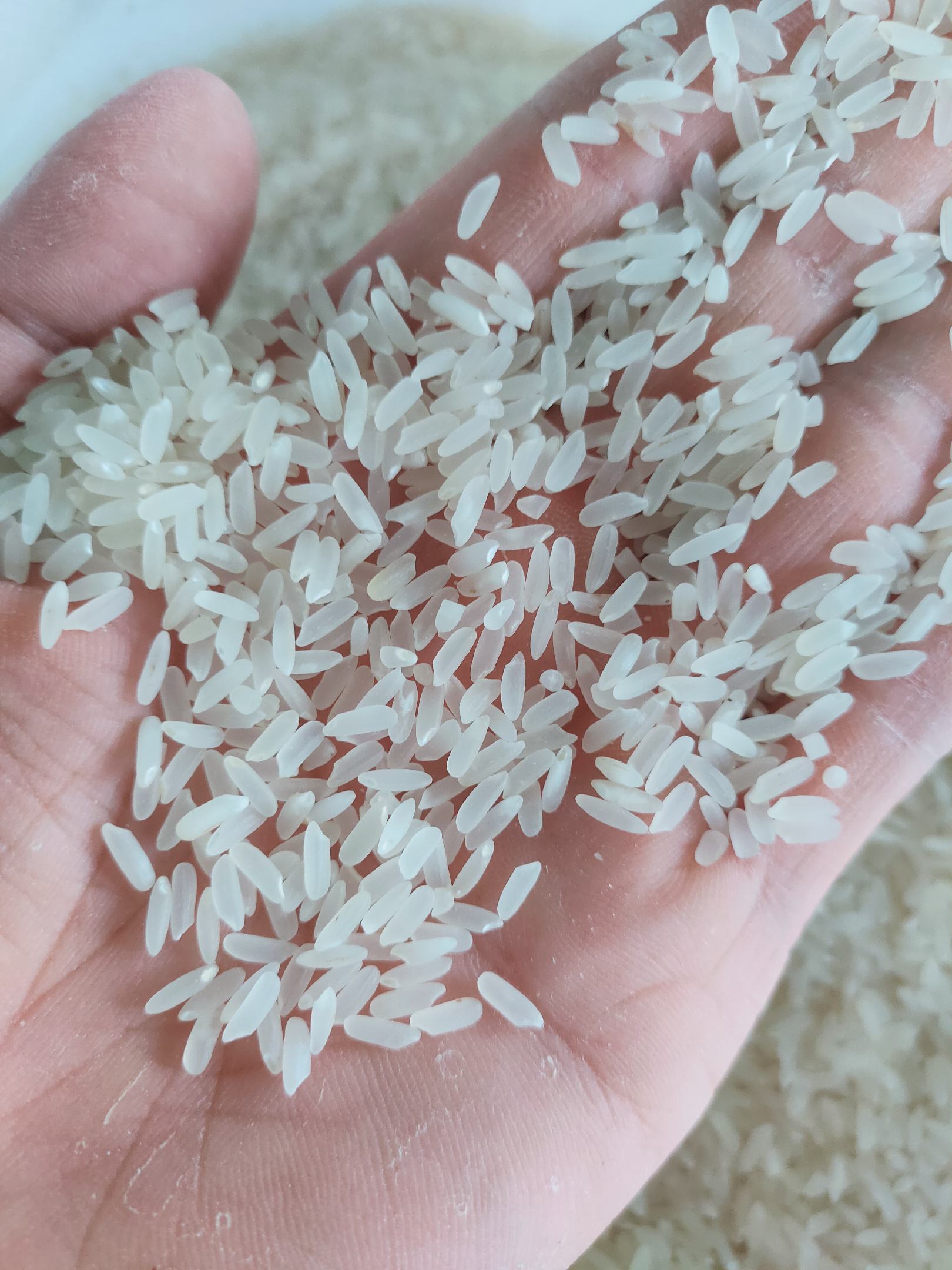 [大米批发]2020新晚稻晶两优大米价格2.06元/斤 - 一亩田