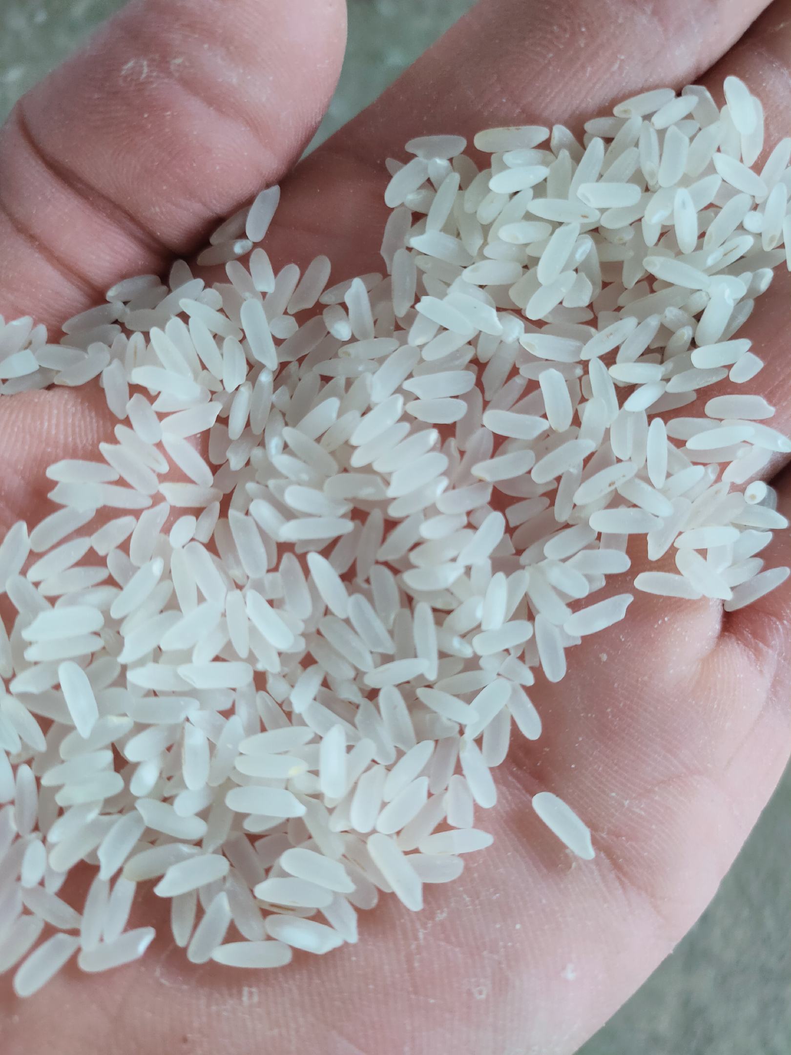 [大米批发]2020新晚稻晶两优大米价格2.06元/斤 - 一亩田