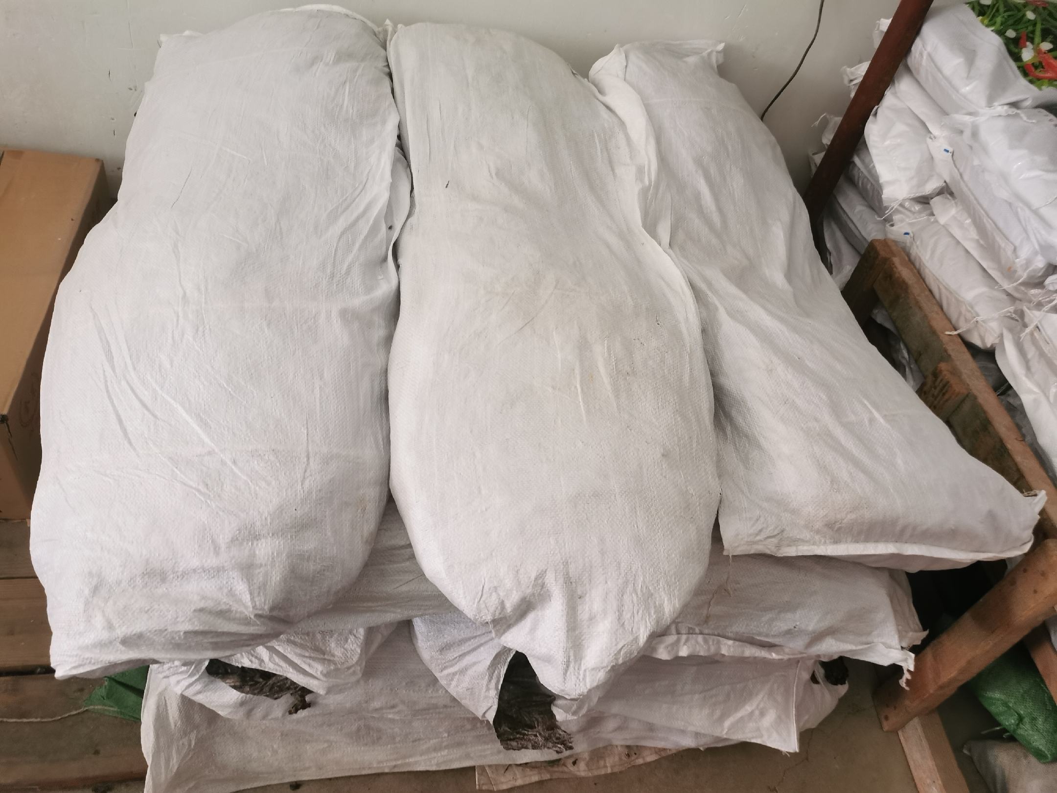 左侧为正确储存方式:铝箔自封袋内装干海带,配有干燥剂,存放于封闭橱柜;右侧为错误方式:散装干海带置于透明玻璃罐中,靠近水槽,环境潮湿 干海带正确储存对比图