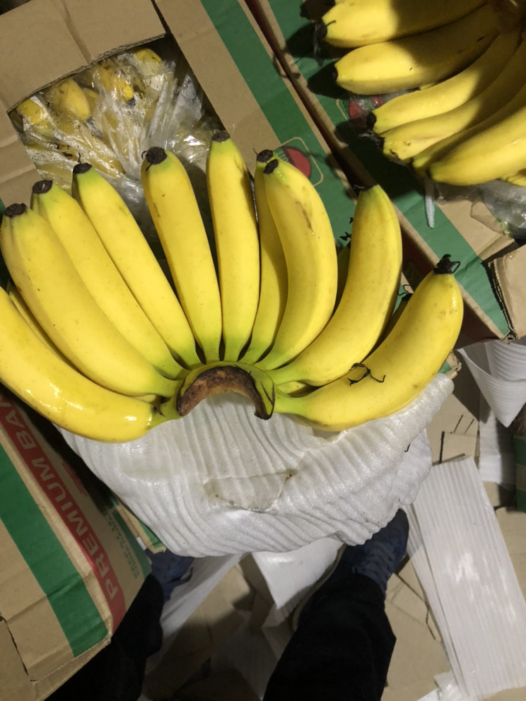 [香蕉批发]一手货源,价格便宜,香蕉价格090元/斤 