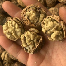 新疆核桃麻子核桃现货供应下单秒发一手货源价格美丽