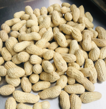 天府3号原味炒花生小花生和四粒红