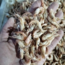 草虾一手货源，诚信为本