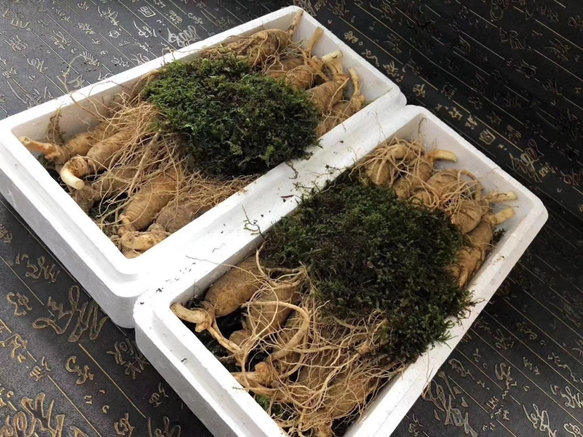 人参膏搭配食用图