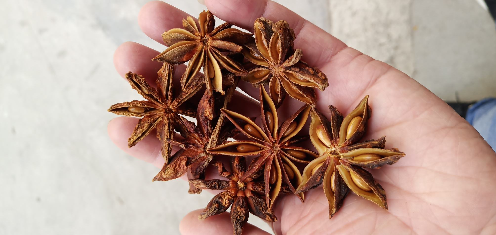 [八角批发]八角 广西大红八角 干支八角 春花八角全价格28.