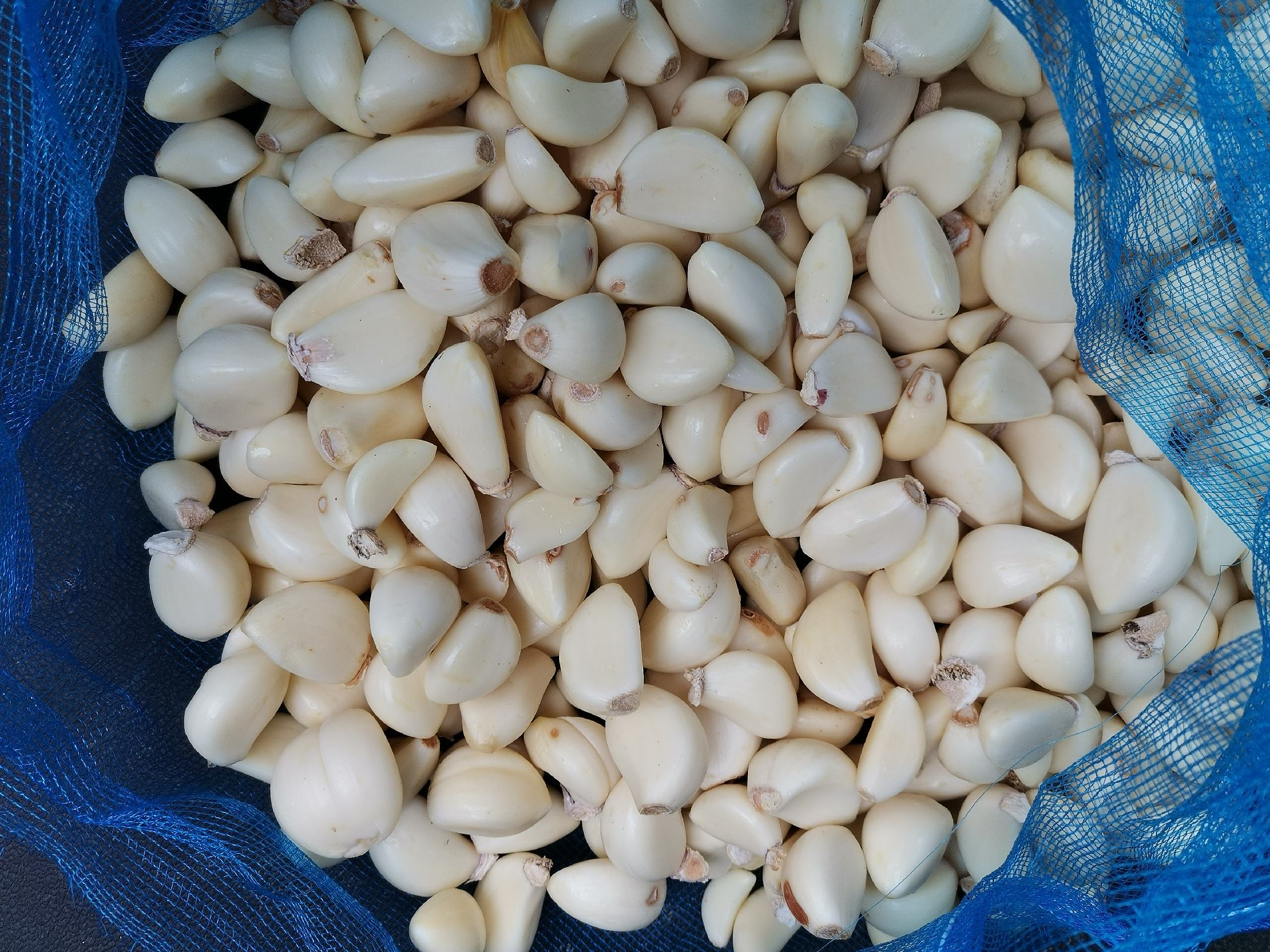 俯拍生活场景摄影:明火灶台上的中式炒锅内油温约160℃,蒜抹以细条状挤入热油瞬间产生蓬松金黄气泡;画面右侧为300ml磨砂玻璃罐装蒜抹产品(蓝白标签,突出‘鲜蒜米冷制’‘无防腐剂’图标),左侧小碗盛放6–8粒完整去皮蒜米,强调原料溯源真实性;背景虚化呈现开放式厨房不锈钢操作台 厨房应用场景图:一只手正将蒜抹挤入热锅油花中,油面泛起金黄蒜香气泡;锅旁放置敞口玻璃罐装蒜抹(标签清晰可见“100%鲜蒜米制成”字样)及剥好蒜瓣的透明小碗