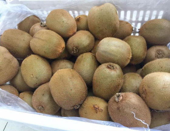 一颗熟透的海沃德猕猴桃,果皮略软,散发自然果香 熟了的海沃德猕猴桃特写