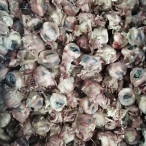 全熟羊眼无肉无碎骨五斤一包