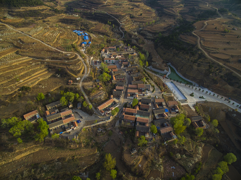 玉露香梨果园实景图