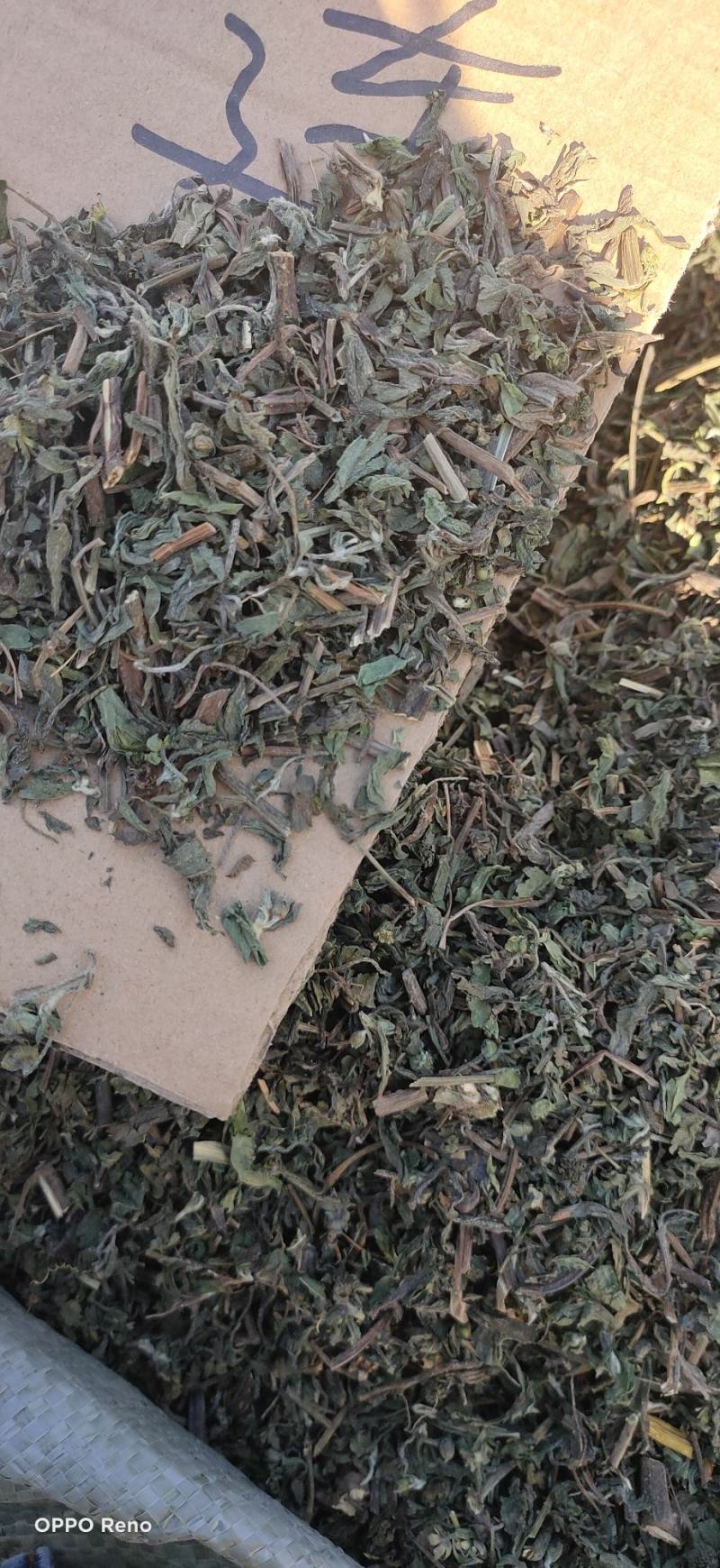 旱莲草颜色青货品干中药材
