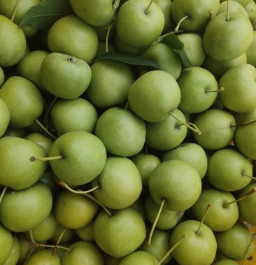 广西桂林平乐大肉山楂便宜几毛钱