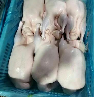 沂南樱桃谷瘦肉型白条鸭一级大白条长期有货