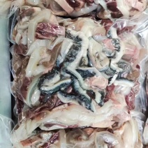 纯干牛杂质量稳定大量现货