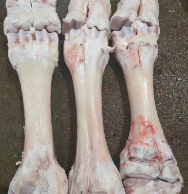 牛蹄骨每天处鲜货熬汤专用