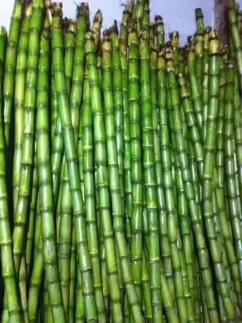陶山青皮白玉甘蔗手撕甘蔗