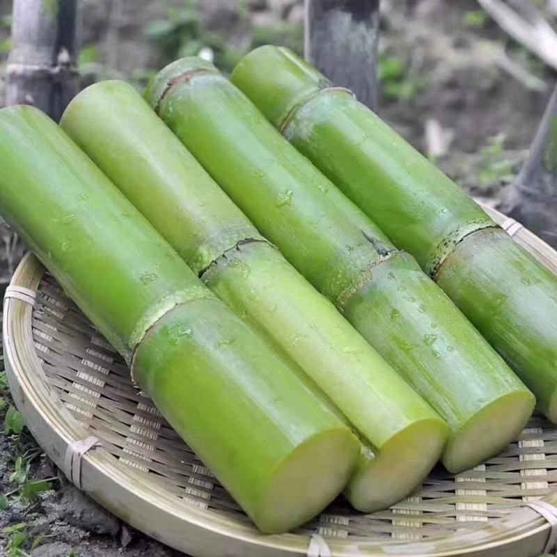 陶山青皮白玉甘蔗手撕甘蔗