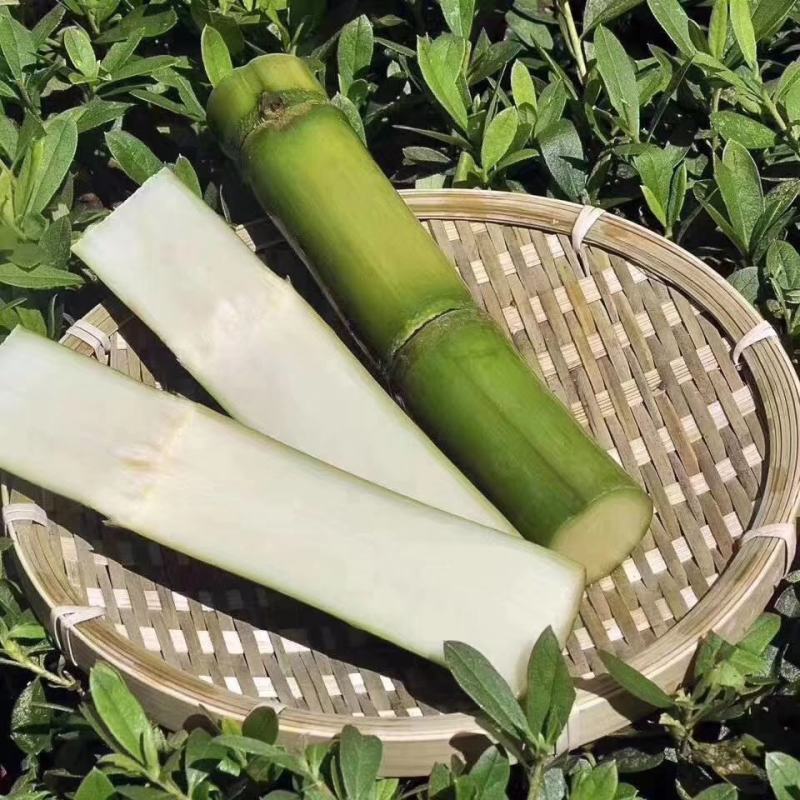 陶山青皮白玉甘蔗手撕甘蔗