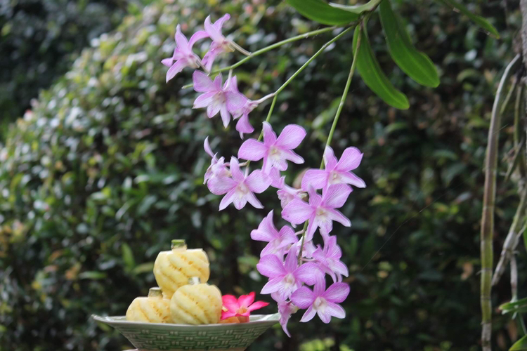 成品草莓香蕉丝瓜绿巨人果蔬汁展示图