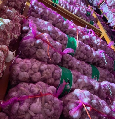 中牟冷库大蒜,大量发售.