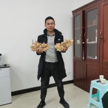 生姜，好货，不等人，