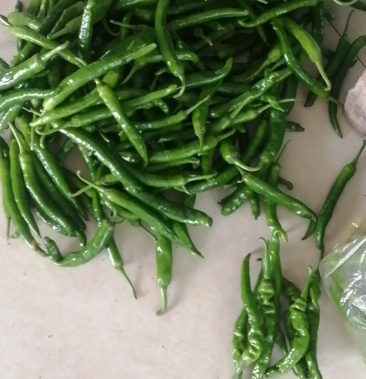 鲜辣椒,刚上市湘研夕55号