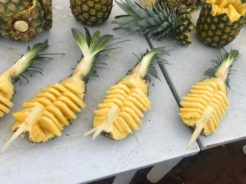 不同切片方式对比图