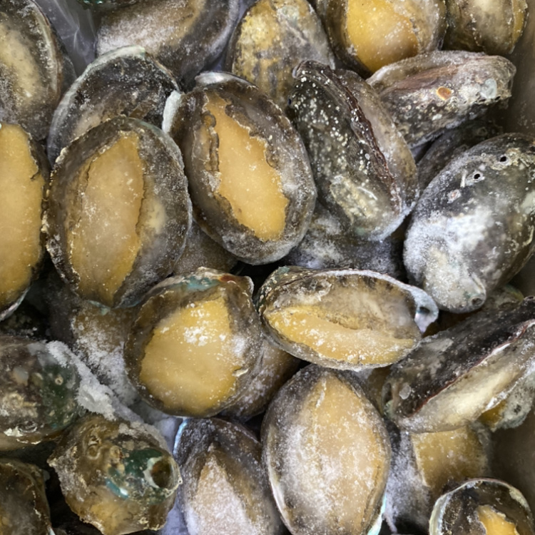 活冻鲍鱼 15头一斤 产地直供 (京东,顺丰包邮)