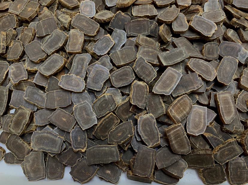 高丽参与洋参切片显微结构对比示意图