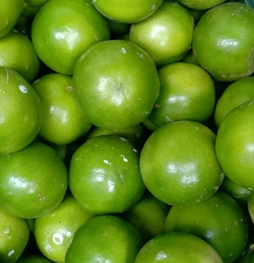 [柠檬批发]广西隆安土柠檬价格1.80元/斤 - 一亩田