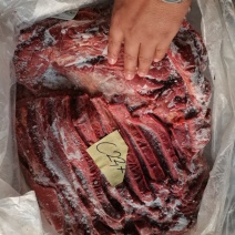 杜蒙荣辉亿米特鼎丰源马肉，大量到货，颜色质量杠杠的好