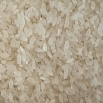 东北黄金水稻，磨出好吃的米
