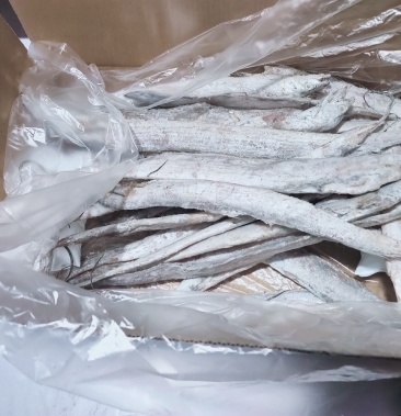 江苏连云港带鱼10斤28元