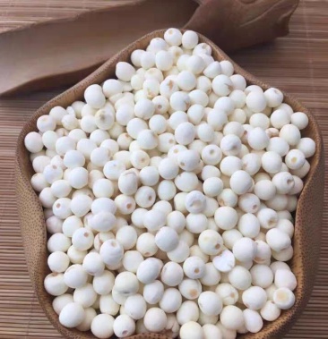 芡实去皮 新货无硫白芡实 鸡头米干货可供批发零售量大从优