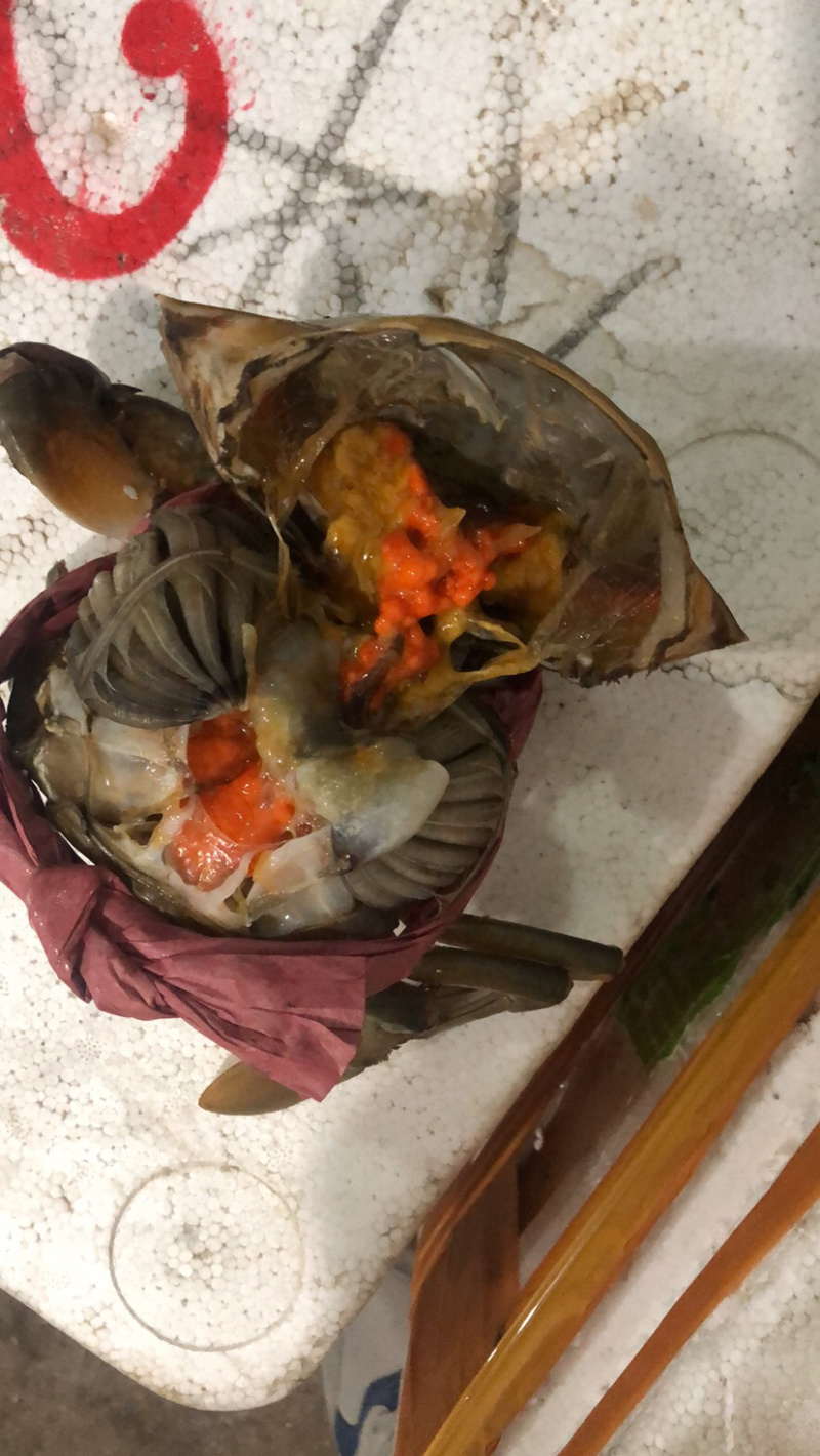 红鲟膏蟹红母鲟螃蟹海鲜