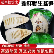 冬笋去泥去壳新鲜野生冬笋性价比高水煮冬笋