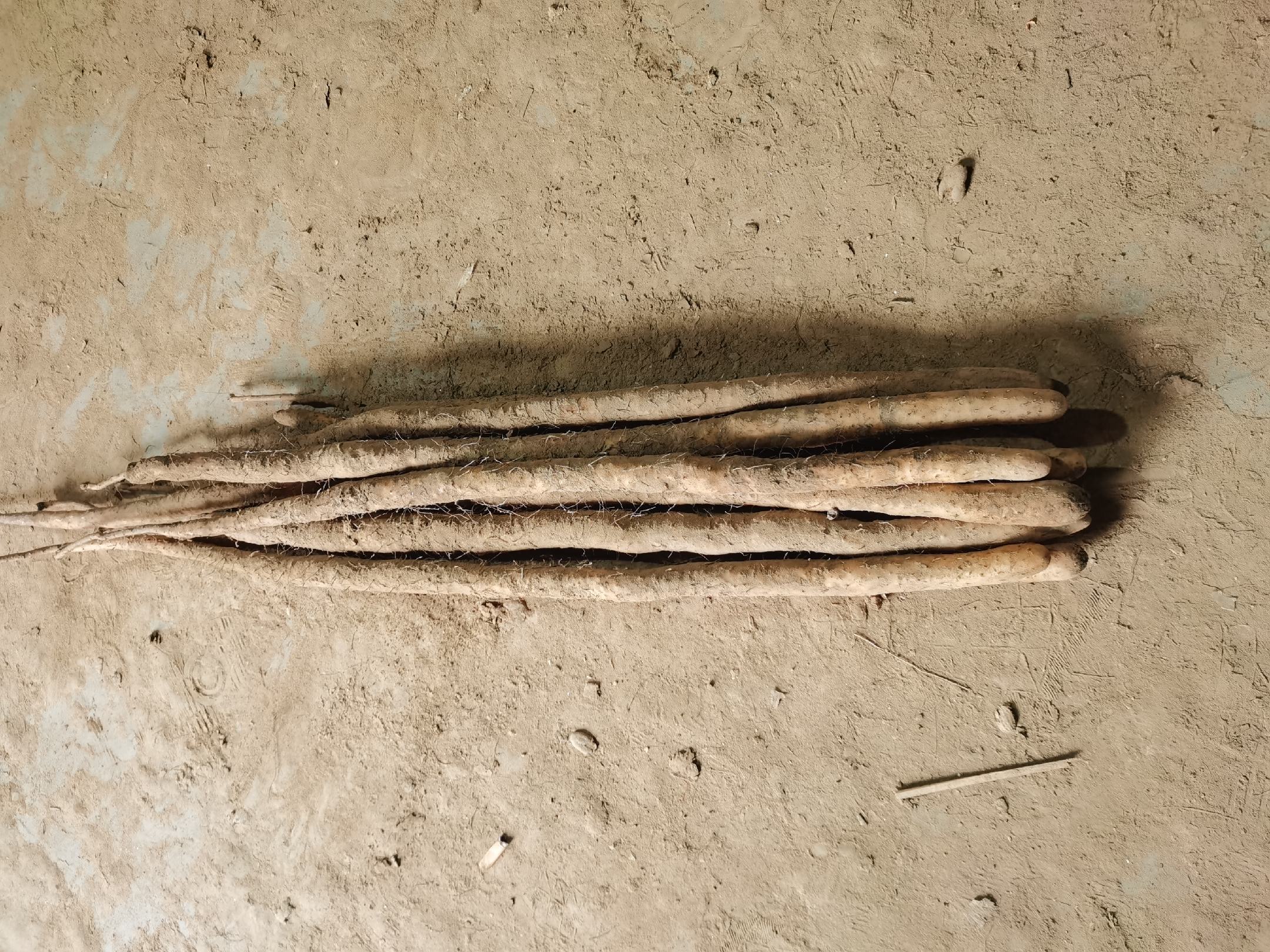 纪实摄影:西和县农户在土坯房内手工刮制小白嘴白山药鲜片,木盆盛放乳白黏液,竹匾晾晒半透明薄片,背景可见‘国家地理标志’铜牌,强调‘古法刮制保活性’工艺特性 小白嘴白山药传统加工场景