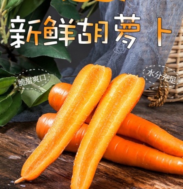 新鲜现挖沙地胡萝卜广红三红萝卜货源充足量大从优