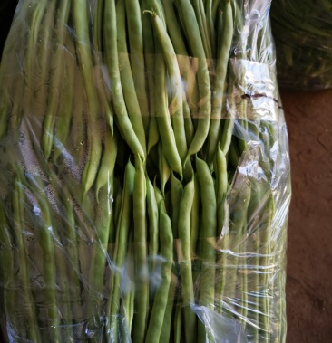 乐亭圆豆角大量上市,精品多多,角细而圆,嫩,色泽好
