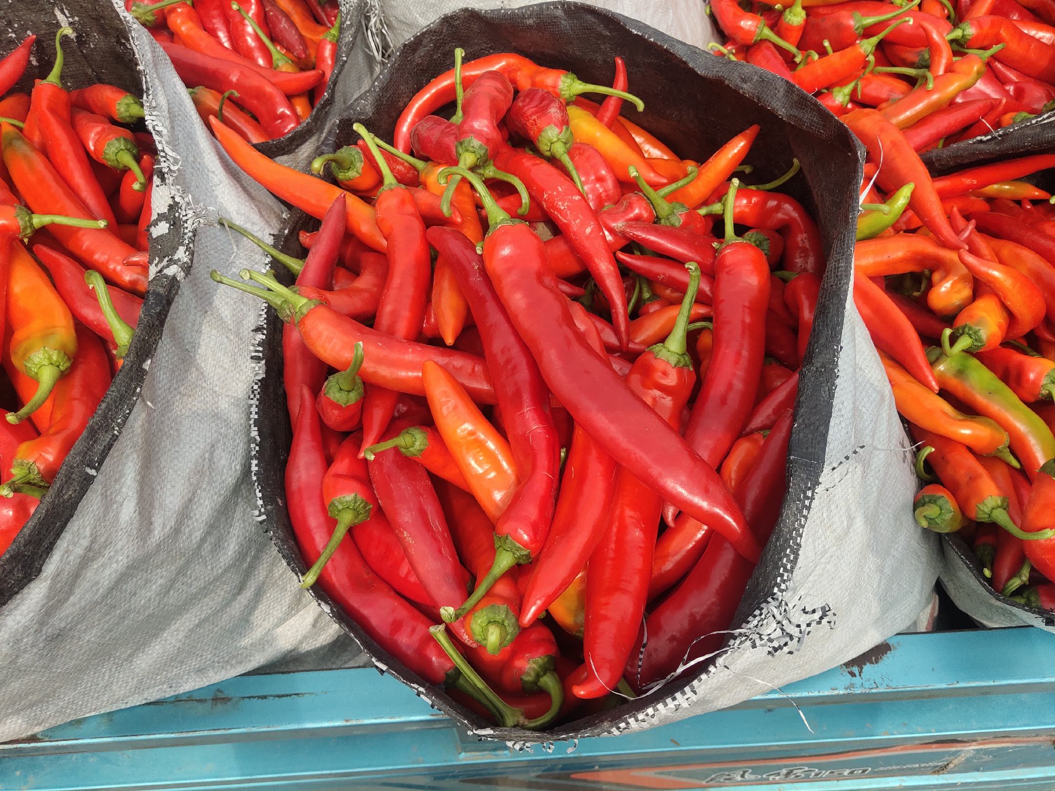 中椒在菜市场摊位上的陈列场景