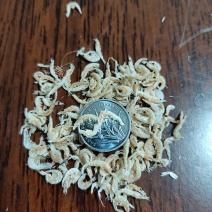 烘干小虾皮。颜色鲜艳，口感纯正，可根据客户需求加工