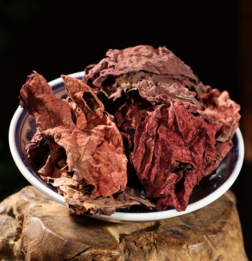 【包邮】紫背天葵 红天葵 正品保证批发零售中药材