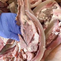 清真牛头肉整只新鲜冷冻全熟装牛肉熟食牛杂牛脸肉工厂直销