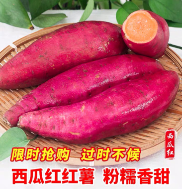 沙土地西瓜红蜜薯包甜蒸煮烤都合适六鳌蜜薯