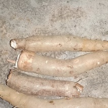 ***木薯一手货源全网低价